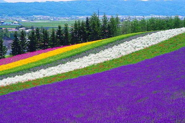 Furusato Furano Bagian luar foto